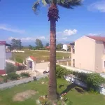 Dolphin & -near The Roda (Corfu)