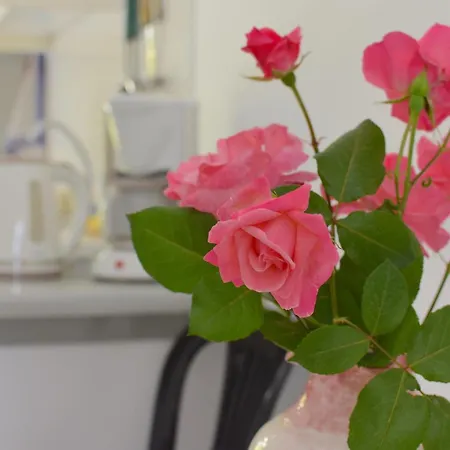 Appartement Dolphin & -near The