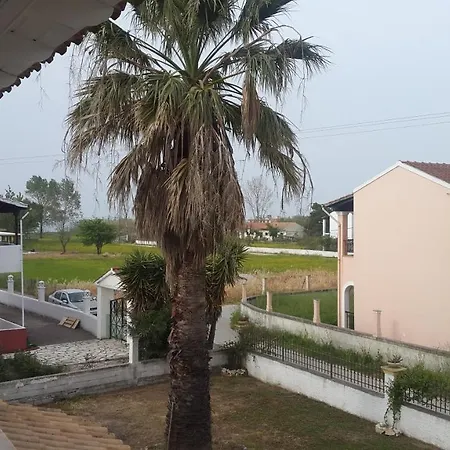 Dolphin Apt & Studios -Near The Beach