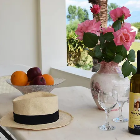 Dolphin & -near The *