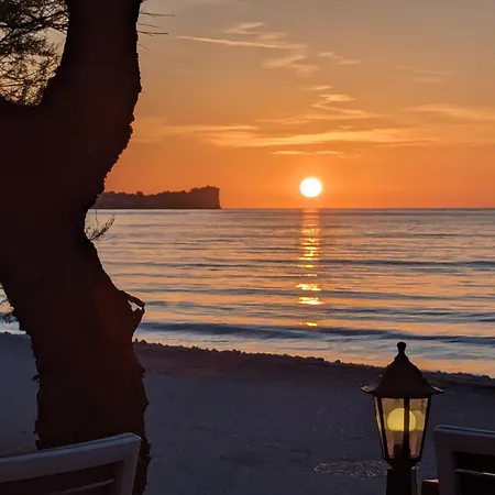 Lejlighed Dolphin & -near The *