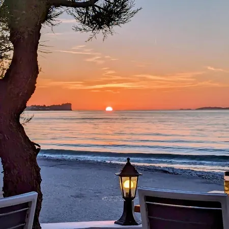 Dolphin & -near The Lejlighed *