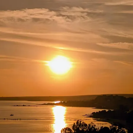 Lägenhet Dolphin & -near The