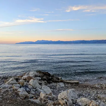 Dolphin & -near The *