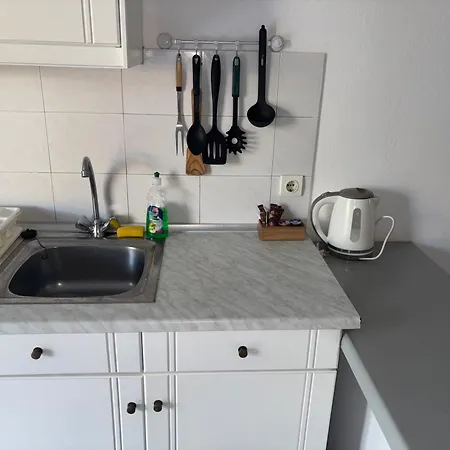 Dolphin & -near The *