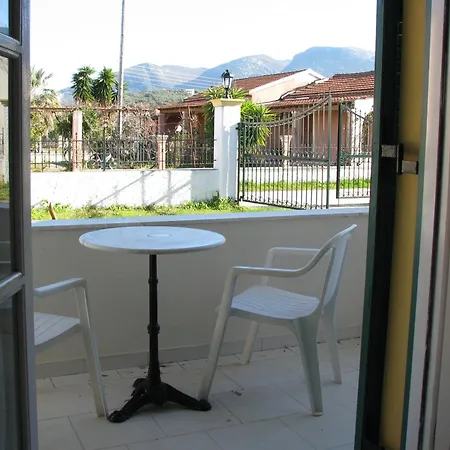 Dolphin Apt & Studios -Near The Beach