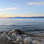 Dolphin & -near The *