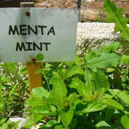 Dolphin & -near The アパート