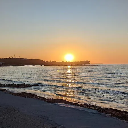 Dolphin & -near The Roda (Corfu)