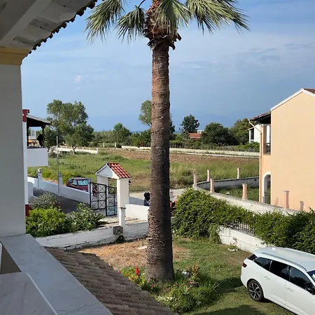 Dolphin & -near The Apartment Roda (Corfu)