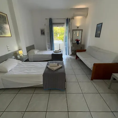 Dolphin & -near The 罗达