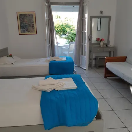 Dolphin & -near The * ロダ