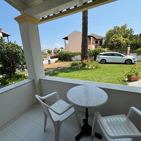 Dolphin & -near The * ロダ